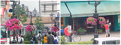 仙台駅前街路灯園-ガーデン二賀地緑化事例